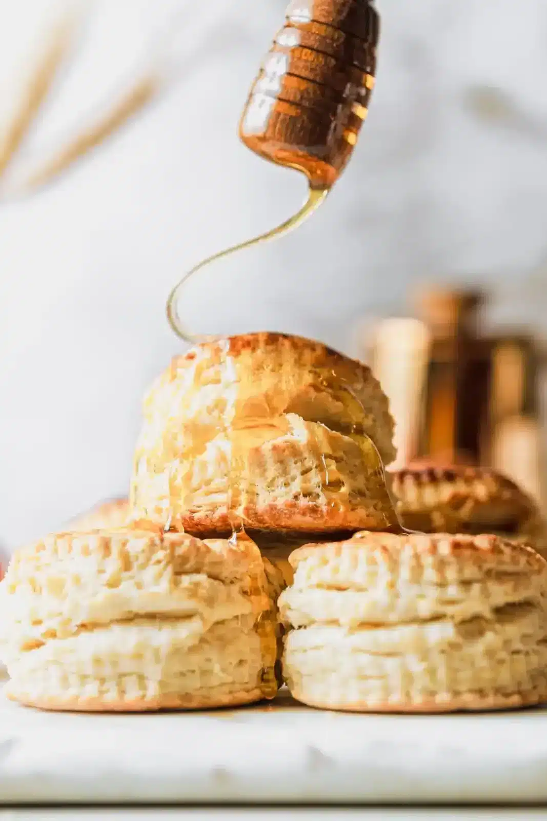 24 Traditional Thanksgiving Side Dishes That’ll Outshine The Turkey 8 24 traditional thanksgiving side dishes that ll outshine the turkey 8